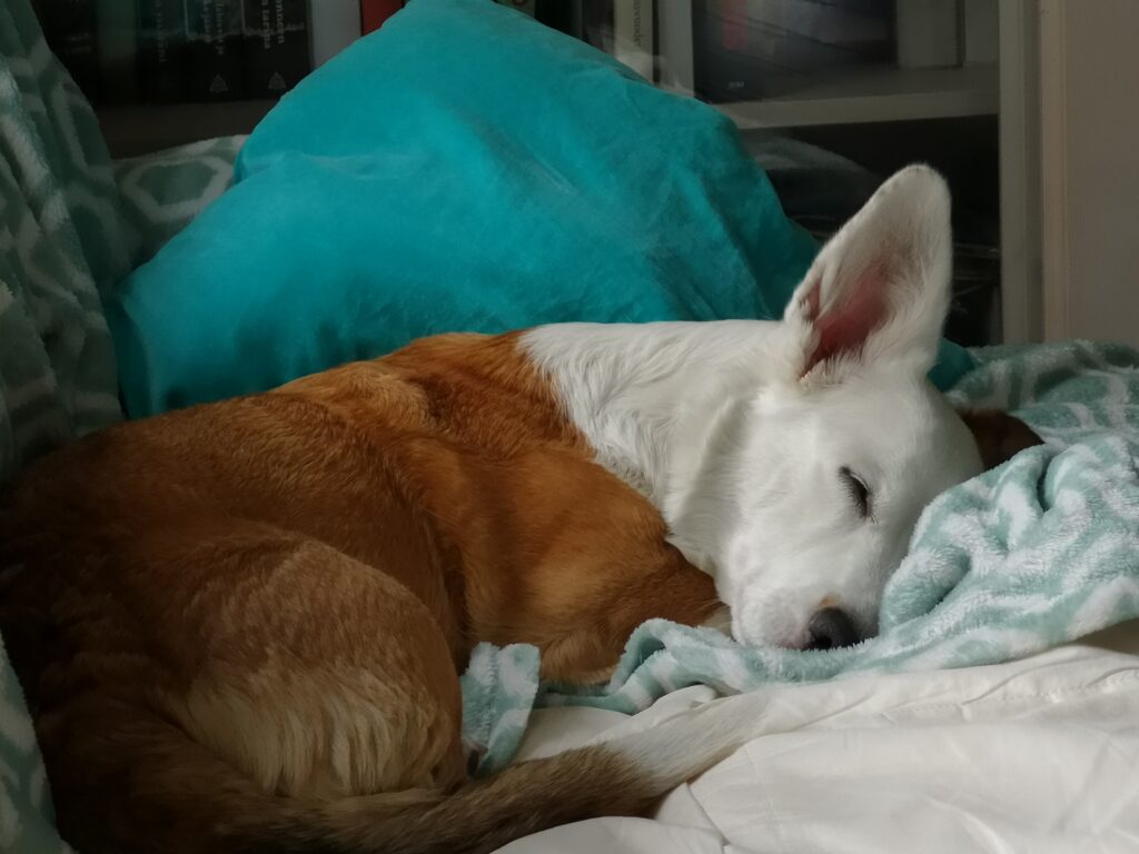 terapiapalvelut_hyvinvointipalvelut_seksuaaliterapia_Gua sha hieronta_intialainen päähieronta_päähieronta_akupunktio_synnytyspelko_seksuaaliterapia pariskunnalle_kätilö_kätilön palvelut_terapiapalveluja hyvinkäällä