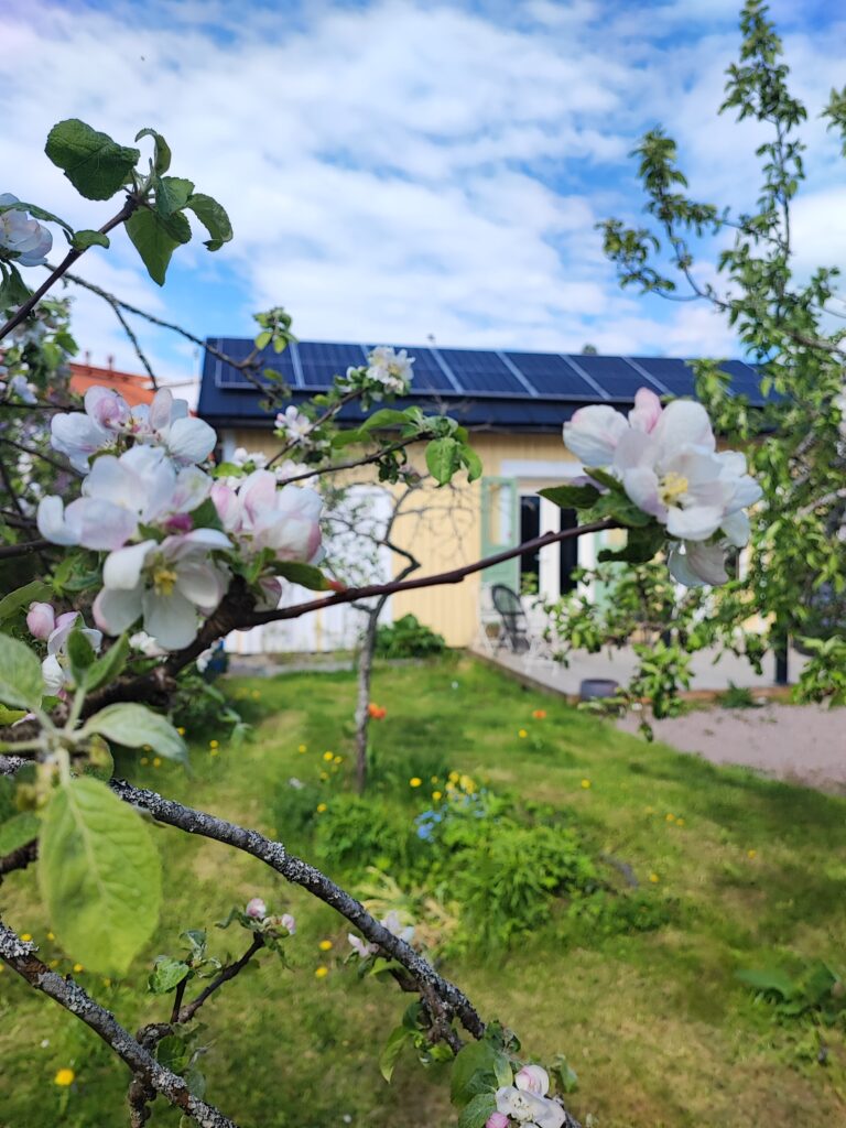 terapiapalvelut_hyvinvointipalvelut_seksuaaliterapia_Gua sha hieronta_intialainen päähieronta_päähieronta_akupunktio_synnytyspelko_seksuaaliterapia pariskunnalle_kätilö_kätilön palvelut_terapiapalveluja hyvinkäällä